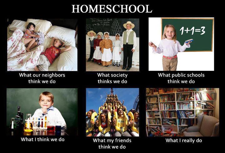 Homeschool-Humor.jpg