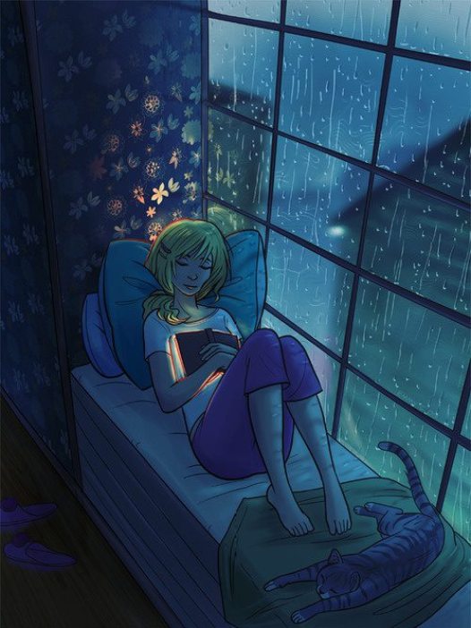 a-booklovers-books-rain-night-cat-cozy-readers
